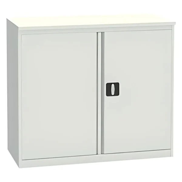 Металлический архивный шкаф ALR 8810